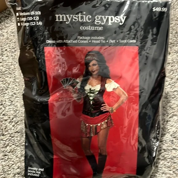 Other | Sexy Mystic Gypsy Halloween Costume Large | Poshmark
